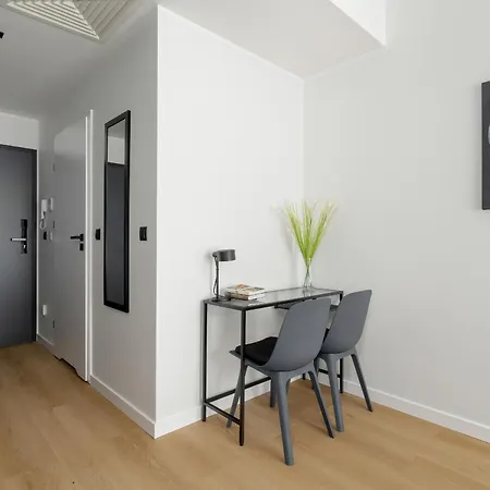 Klimatyzowane Studio Na Placu Wolnosci W Poznaniu By Renters アパート
