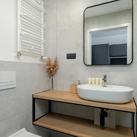 アパート Klimatyzowane Studio Na Placu Wolnosci W Poznaniu By Renters